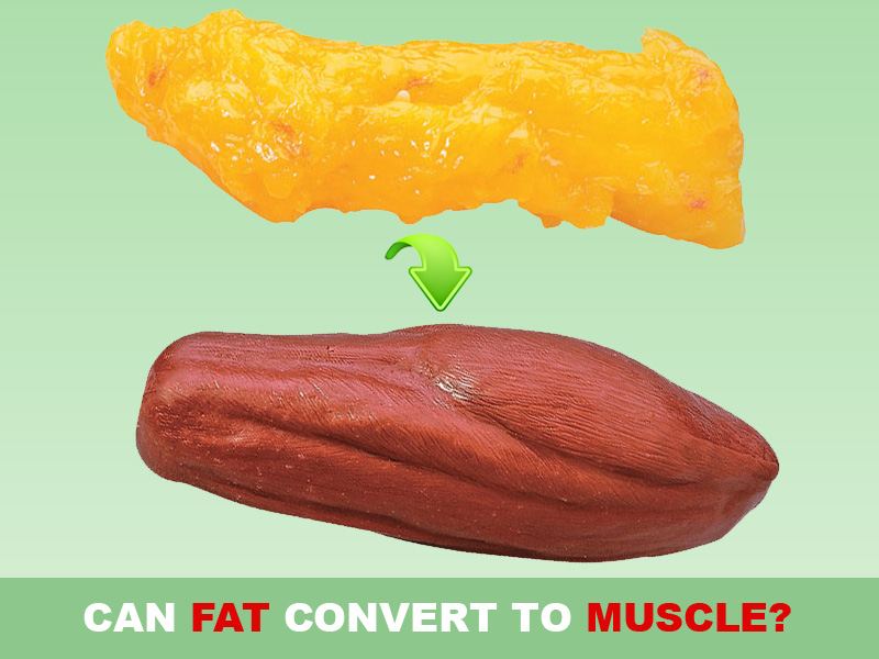 Turn Fat To Muscle 86