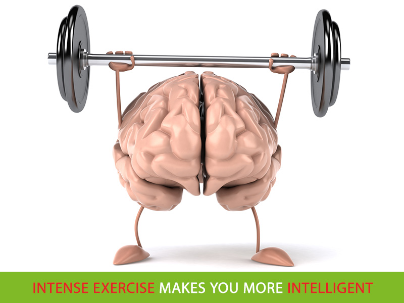 Intense Exercise Makes You More Intelligent - Healthy Lifestyle