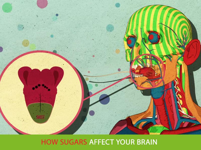 How-Sugars-Affect-Your-Brain